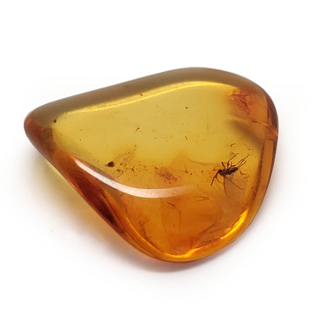 with stand Egg a souvenir with Baltic amber 