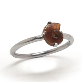 Ammonite Fossil Sterling Silver Ring photographed against a white background