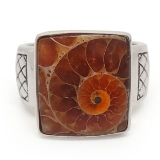 Squared Ammonite Fossil Sterling Silver Ring photographed against a white background