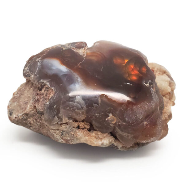 A fire agate shined and polished on one side against a white background