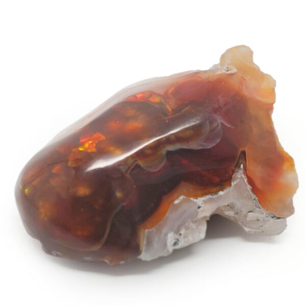 A fire agate shined and polished on one side against a white background