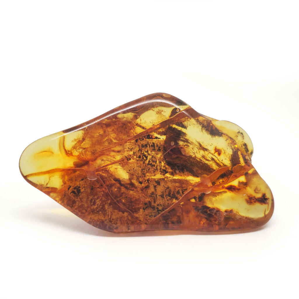 Exploring the Geology and Formation of Amber: From Tree Resin to