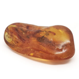 Amber polished photographed against a white background