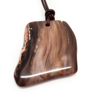 Petrified Wood Drilled Pendant from Oregon