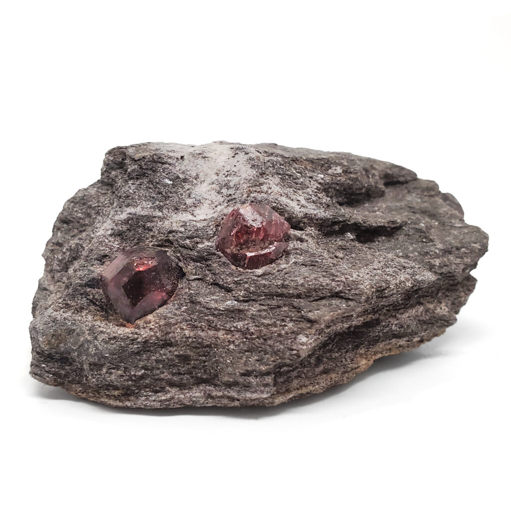 Egen Størrelse Wrap Garnet Crystals in Schist - The Fossil Cartel