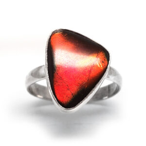 Ammolite Fossil Sterling Silver Ring; size 8 1/2