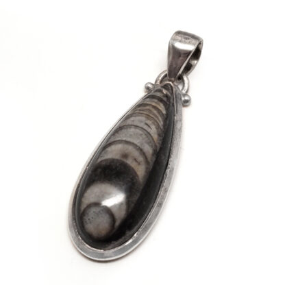 Orthoceras Fossil Sterling Silver Pendant