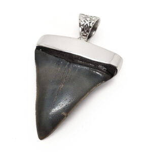 Megalodon Fossil Shark Tooth Sterling Silver Pendant