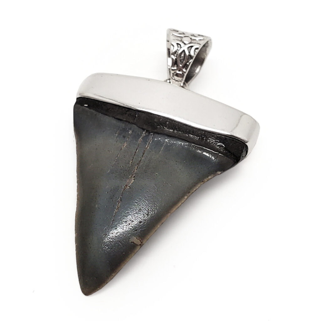 The Megalodon Shark Tooth Pendant 68200: best price for jewelry