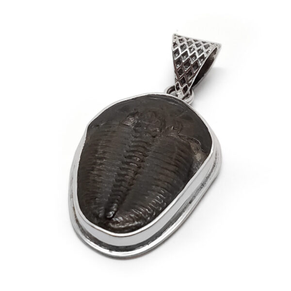 Trilobite Fossil Sterling Silver Pendant