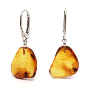 Amber With Insects Sterling Silver Earrings