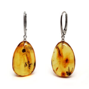 Amber with Spider Inclusion Sterling Silver Earrings