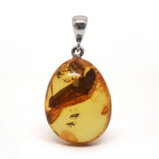 Amber with Insects Sterling Silver Pendant
