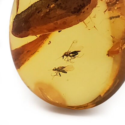 Amber with Insects Sterling Silver Pendant
