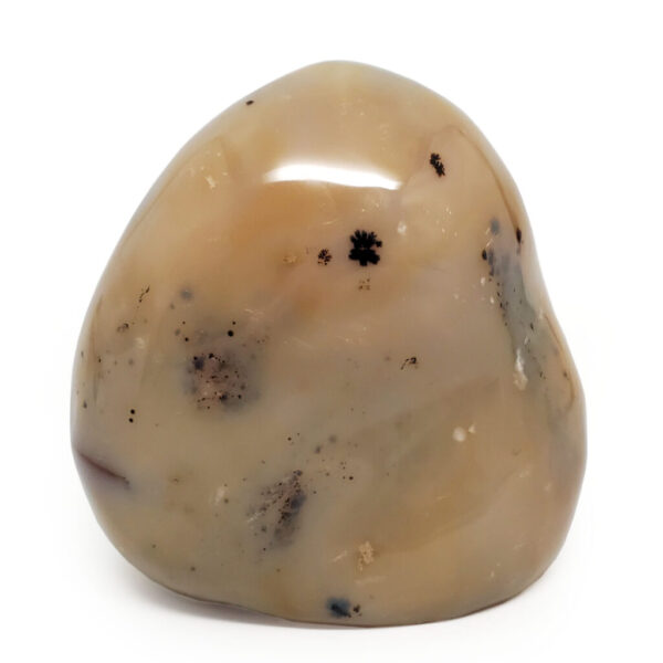 Dendritic Agate Stand-up, Large