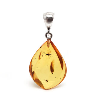 Amber with Insect Sterling Silver Pendant