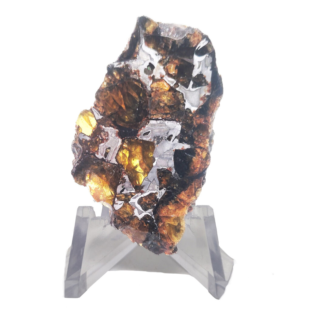 Admire Pallasite Meteorite The Fossil Cartel