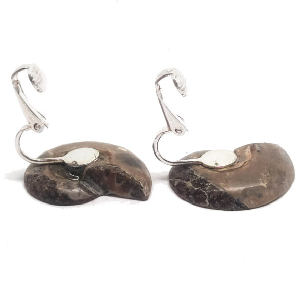Ammonite Fossil Clip-on Earrings