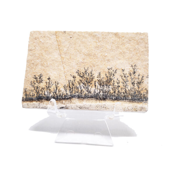 Dendrite Plaque - Image 3