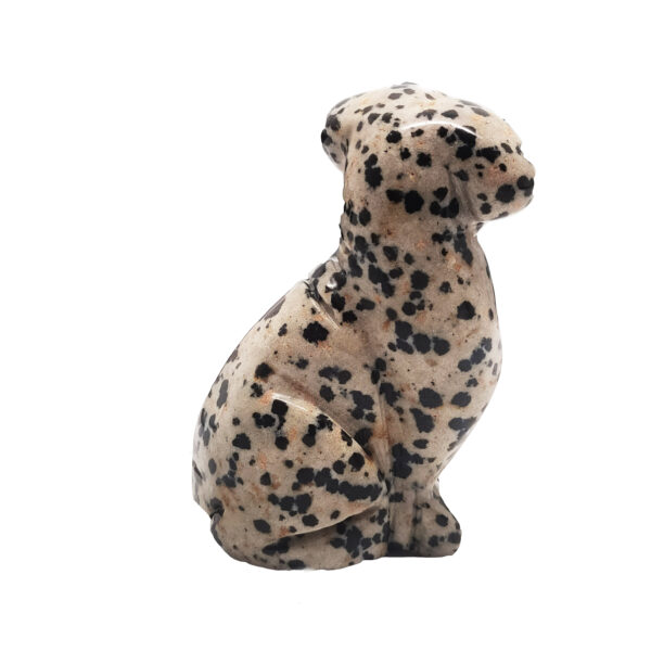 Dalmatian Stone Dog