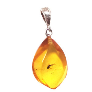 Amber with Insect Sterling Silver Pendant