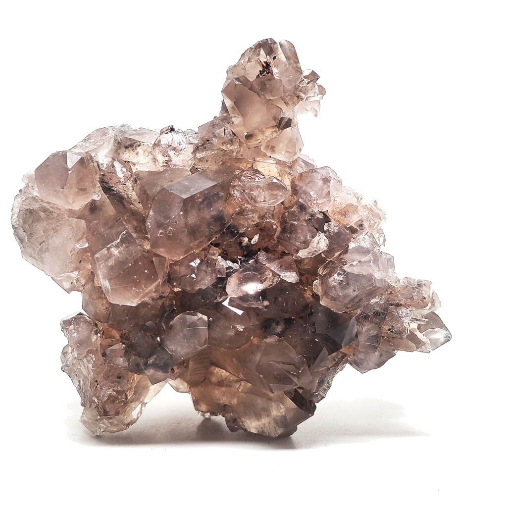 Large Smoky Quartz Crystal Cluster with Rutile - The Fossil Cartel
