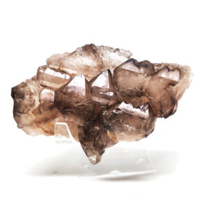 Smoky Elestial Quartz Terminated Crystal Cluster