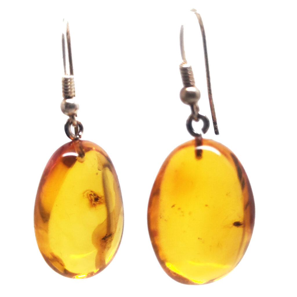 Amber with Insect Sterling Silver Earrings - The Fossil Cartel