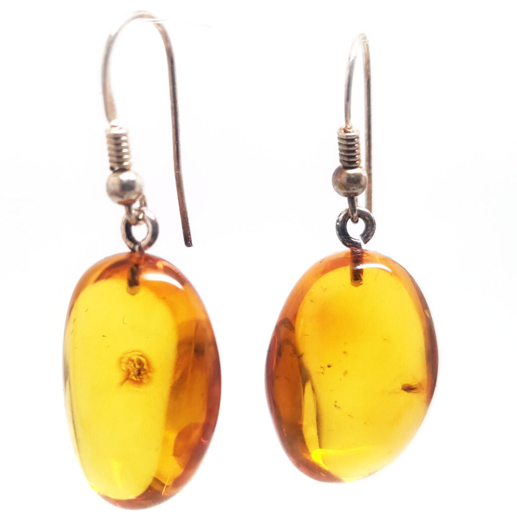 Amber with Insect Sterling Silver Earrings - The Fossil Cartel