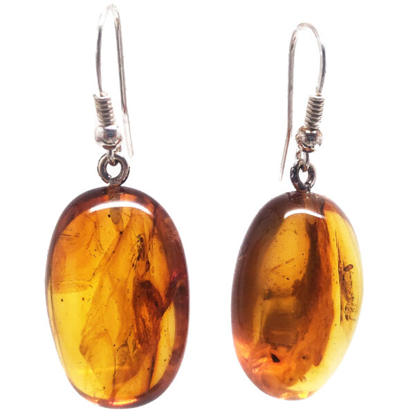 Amber with Insect Sterling Silver Earrings
