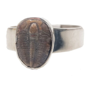 Trilobite Fossil Sterling Silver Ring; size 12