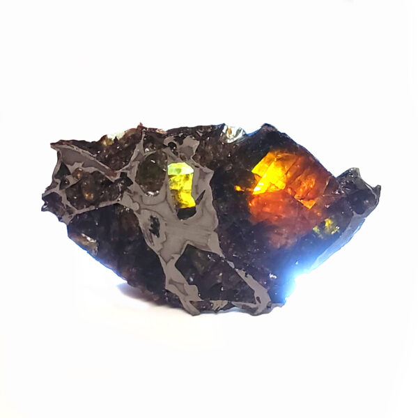 Admire Pallasite Meteorite