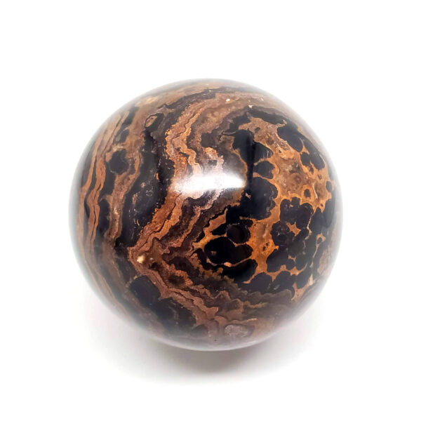 Stromatolite Fossil Sphere