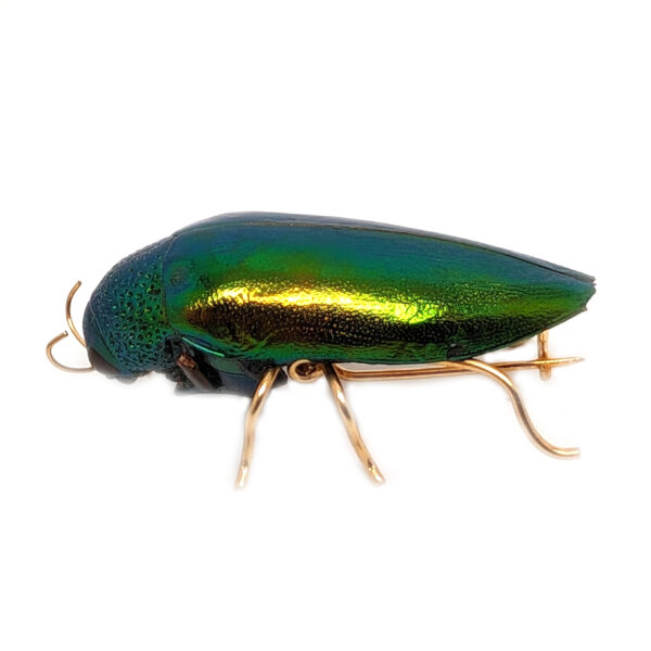 Emerald Beetle Pin - Image 2
