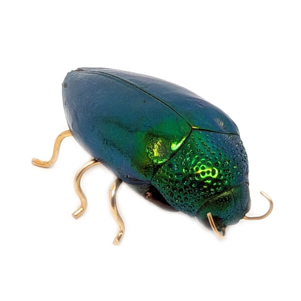 Emerald Beetle Pin