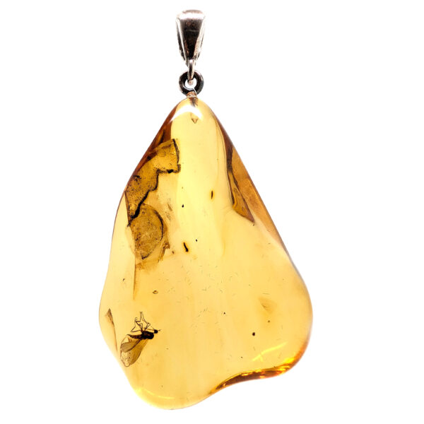 Amber with Insect Sterling Silver Pendant, Large