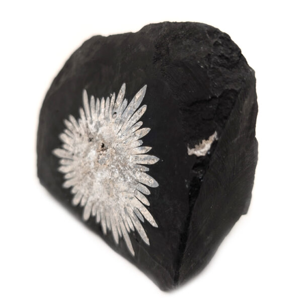 Chrysanthemum Stone - Image 2