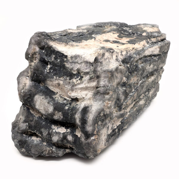 Fossil Mammoth Tooth - Image 3