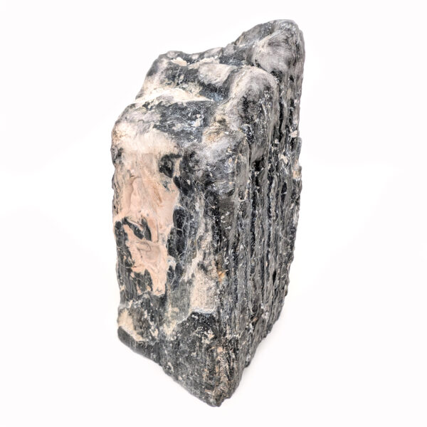 Fossil Mammoth Tooth - Image 4