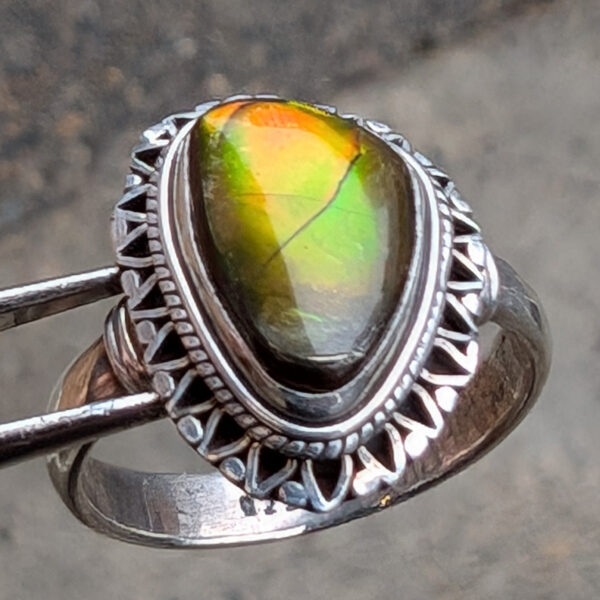 Ammolite Fossil Sterling Silver Ring; size 10 - Image 2