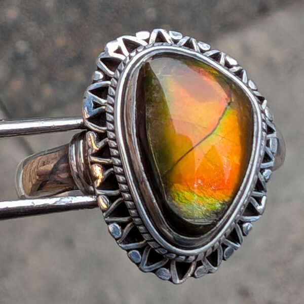 Ammolite Fossil Sterling Silver Ring; size 10 - Image 3