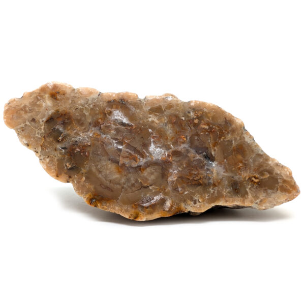 Dinosaur Poop Fossil - Coprolite