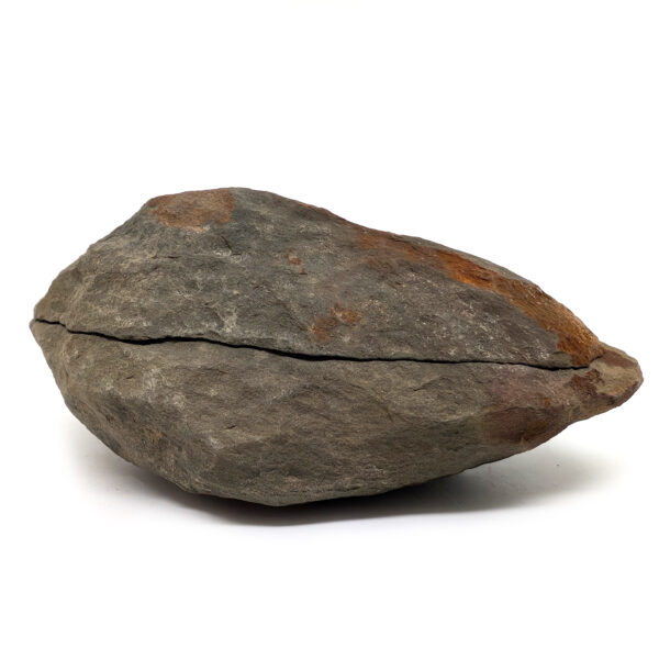 Fern Fossil Nodule - Image 2