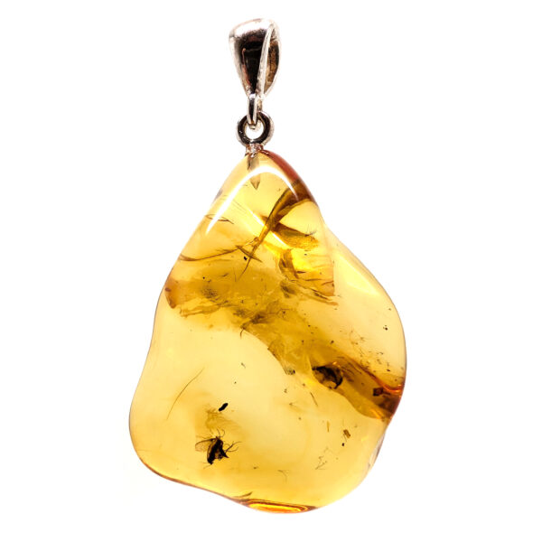 Amber with Insect Sterling Silver Pendant - Image 2