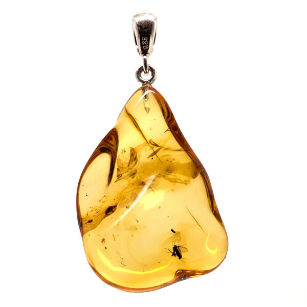 Amber with Insect Sterling Silver Pendant