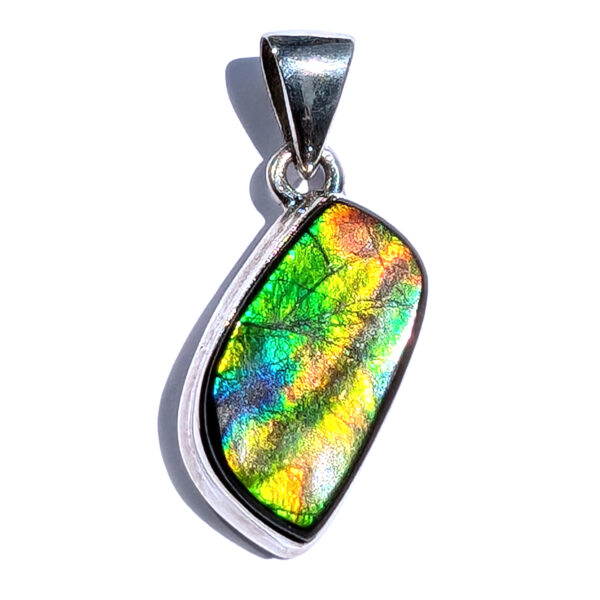 Ammolite Fossil Sterling Silver Pendant