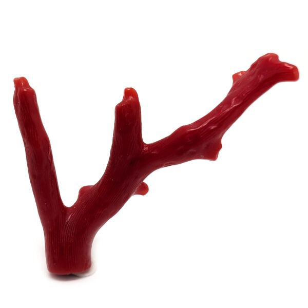Red Coral Branch - Image 2