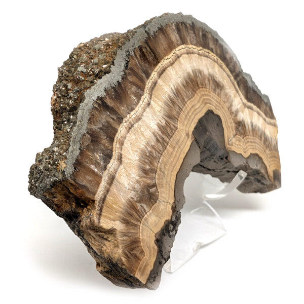 Barite and Marcasite Slab - Image 2