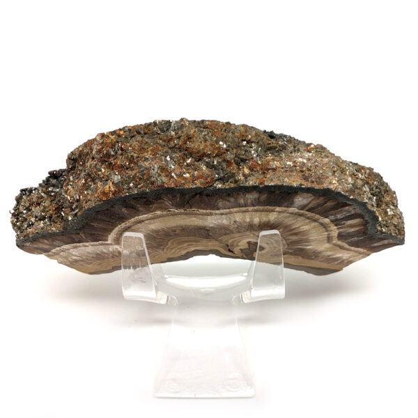 Barite and Marcasite Slab - Image 3