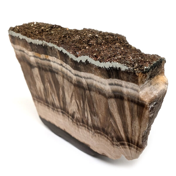 Barite and Marcasite Slab - Image 2
